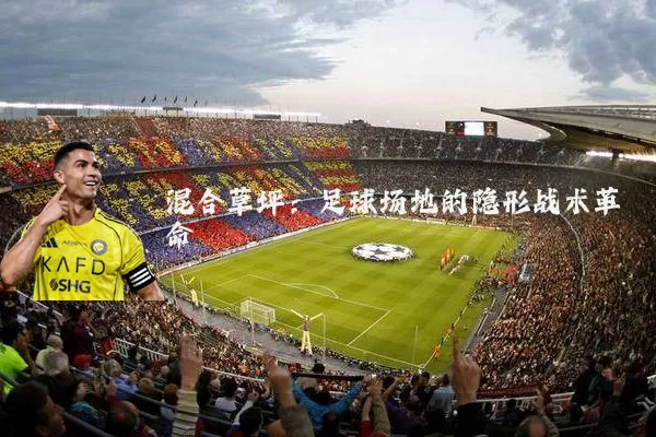 混合草坪：足球场地的隐形战术革命